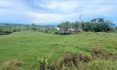 lote en arriendo en via armenia. Cod A18502