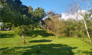 DISFRUTA DEL CLIMA. FINCA EN SILVANIA VENTA O PERMUTA