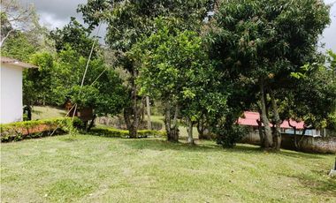 DISFRUTA DEL CLIMA. FINCA EN SILVANIA VENTA O PERMUTA