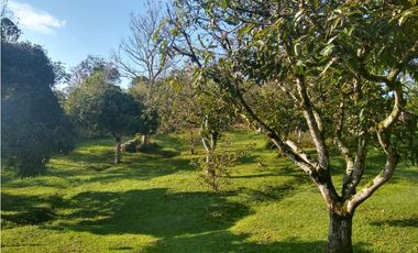 DISFRUTA DEL CLIMA. FINCA EN SILVANIA VENTA O PERMUTA