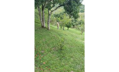 DISFRUTA DEL CLIMA. FINCA EN SILVANIA VENTA O PERMUTA