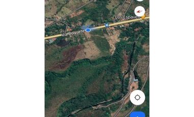 VENDO TERRENO DE 8HECTAREAS EL FRANCES