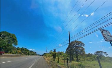 VENDO TERRENO DE 8HECTAREAS EL FRANCES