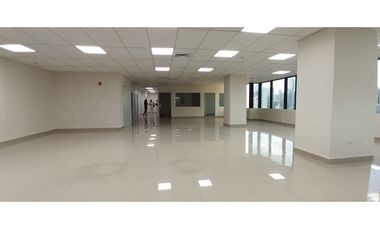 SE ALQUILA OFICINA EN CALLE 50, SERVICIOS INCLUIDOS!!