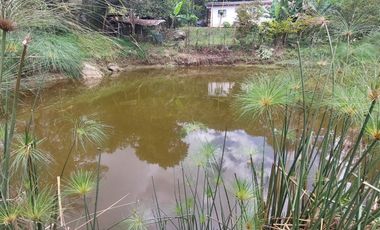 Finca en venta en silvania  ganadera vereda Panamá