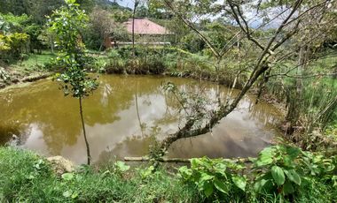 Finca en venta en silvania  ganadera vereda Panamá