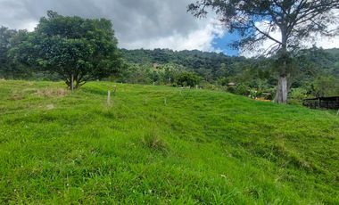 Finca en venta en silvania  ganadera vereda Panamá