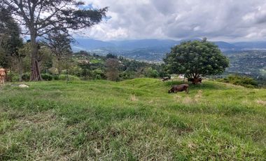 Finca en venta en silvania  ganadera vereda Panamá