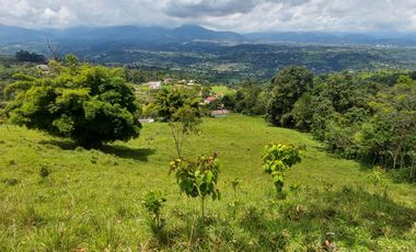 Finca en venta en silvania  ganadera vereda Panamá