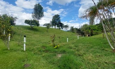 Finca en venta en silvania  ganadera vereda Panamá