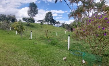 Finca en venta en silvania  ganadera vereda Panamá