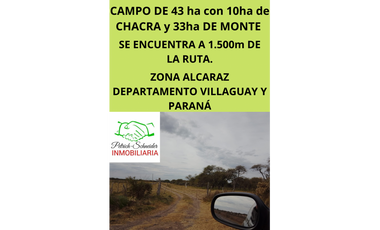 Se vende campo de 43 has Zona Alcaraz, dpto. Villaguay y Paraná