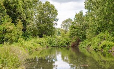 Terreno Construccion  en Venta en Venta Parcelas en Condominio Lomas del Trebol, acceso Ruta 5S, 5.000 m2, Paillaco, Valdivia