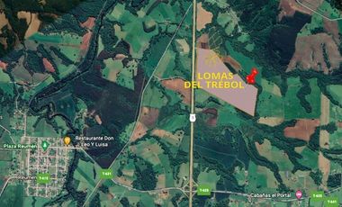 Terreno Construccion  en Venta en Venta Parcelas en Condominio Lomas del Trebol, acceso Ruta 5S, 5.000 m2, Paillaco, Valdivia