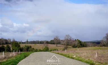 Terreno Construccion  en Venta en Venta Parcelas en Condominio Lomas del Trebol, acceso Ruta 5S, 5.000 m2, Paillaco, Valdivia