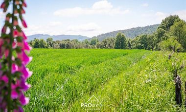 Terreno Construccion  en Venta en Venta Parcelas en Condominio Lomas del Trebol, acceso Ruta 5S, 5.000 m2, Paillaco, Valdivia