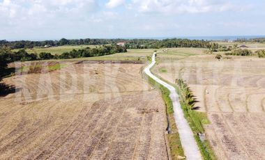 MURAH Tanah kapling braban tabanan kawasan akomodasi pariwisata