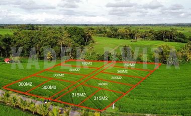 MURAH Tanah kapling braban tabanan kawasan akomodasi pariwisata