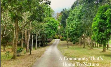 Terreno South Lots 120 -250 sqm Lipa, Batangas