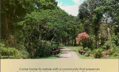 Terreno South Lots 120 -250 sqm Lipa, Batangas