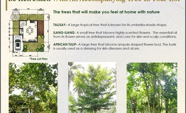 Terreno South Lots 120 -250 sqm Lipa, Batangas