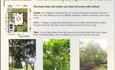 Terreno South Lots 120 -250 sqm Lipa, Batangas