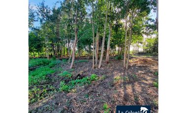 Hermosa Parcela Urbanizada