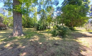 Venta Casa Quinta Rodríguez 4 ambientes