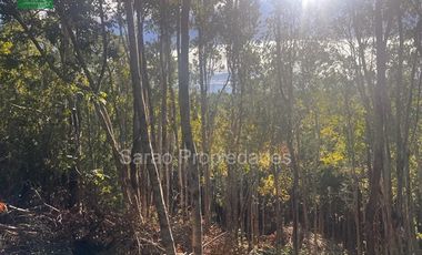 Parcela En Venta En Fresia Sector Rio Blanco