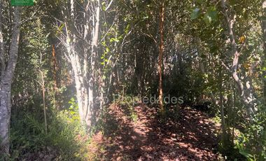 Parcela En Venta En Fresia Sector Rio Blanco