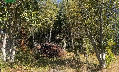 Parcela En Venta En Fresia Sector Rio Blanco