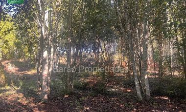 Parcela En Venta En Fresia Sector Rio Blanco