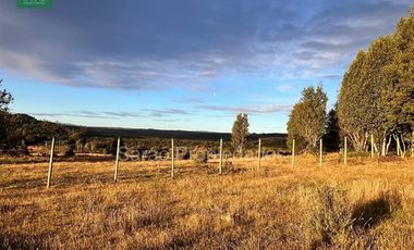 Parcela En Venta En Fresia Sector Rio Blanco