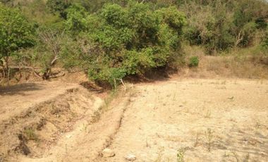 Agricultural Lot For Sale, Bauang, La Union (SOLD)