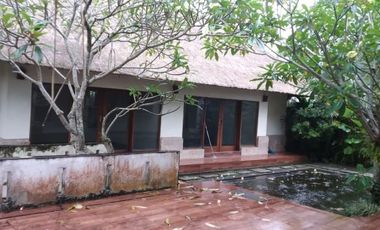 Villa Cantik Dengan Nuansa Alam Khas Bali di Ubud Bali