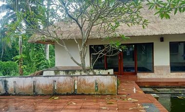 Villa Cantik Dengan Nuansa Alam Khas Bali di Ubud Bali
