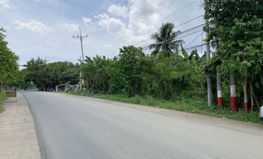 2-hectare lot for sale in Trece Martires, Cavite