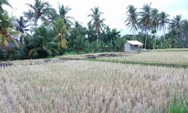 land for sale view rice field & Agung mountain in ubud bali