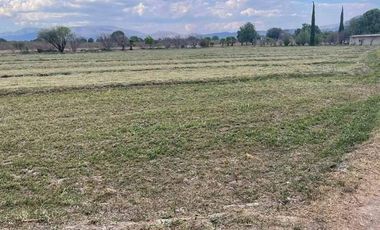 Venta Terreno En Tehuacán - 24,000 M2
