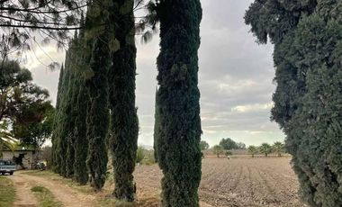 Venta Terreno En Tehuacán - 24,000 M2