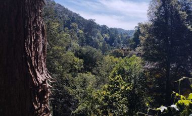 Venta de Propiedad con Casa Antigua y Amplios Jardines – Mineral del Chico, Hidalgo