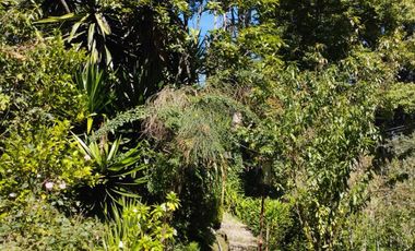 Venta de Propiedad con Casa Antigua y Amplios Jardines – Mineral del Chico, Hidalgo