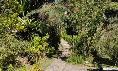 Venta de Propiedad con Casa Antigua y Amplios Jardines – Mineral del Chico, Hidalgo