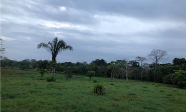 VENDO 1400 HECTAREAS EN DARIEN