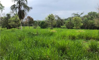 VENDO 1400 HECTAREAS EN DARIEN