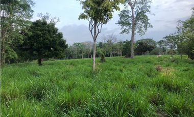 VENDO 1400 HECTAREAS EN DARIEN