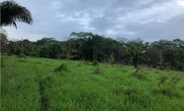 VENDO 1400 HECTAREAS EN DARIEN
