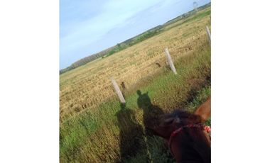 VENDO 1400 HECTAREAS EN DARIEN
