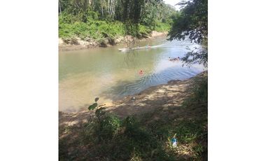 VENDO 1400 HECTAREAS EN DARIEN