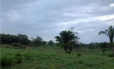VENDO 1400 HECTAREAS EN DARIEN